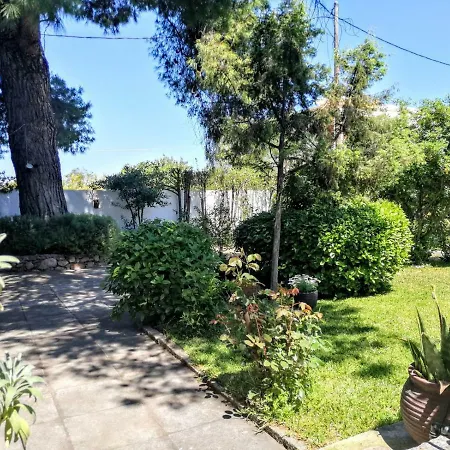 Pine Tree Garden House