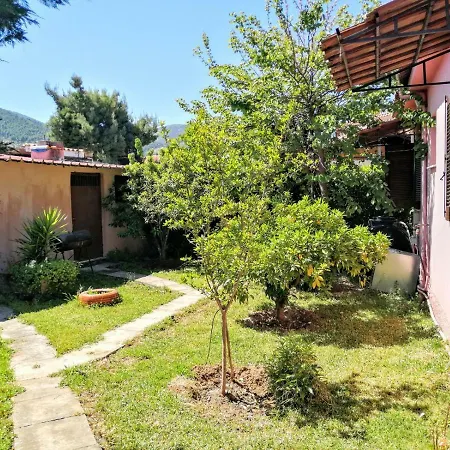 Holiday home Pine Tree Garden House *