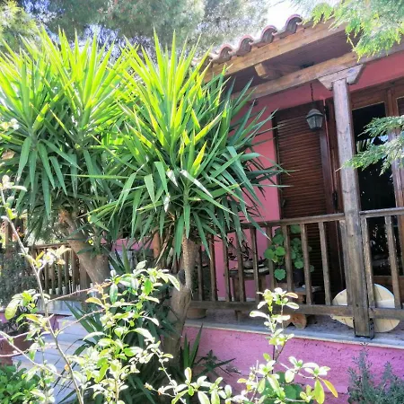 Holiday home Pine Tree Garden House