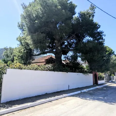 Holiday home Pine Tree Garden House *